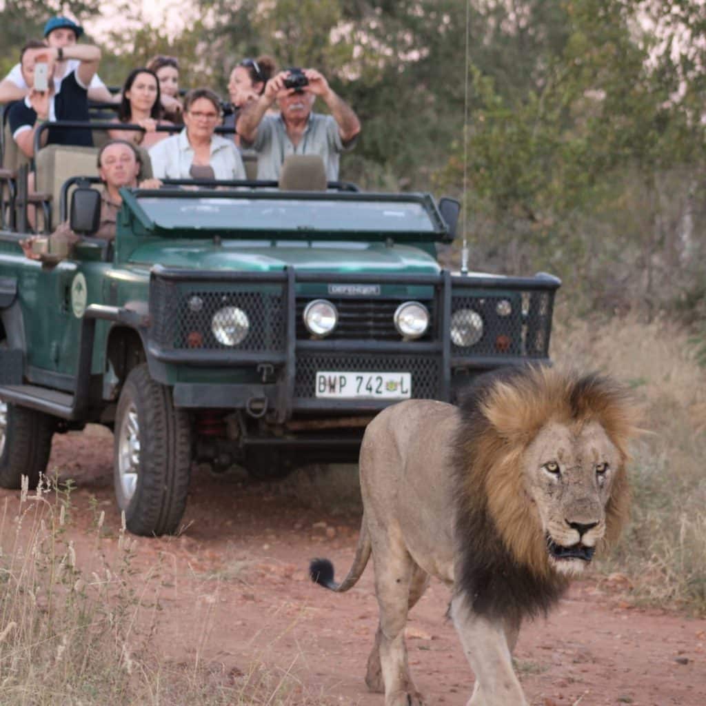 Mopaya Safari Lodge - Afrique du Sud - golf - safari