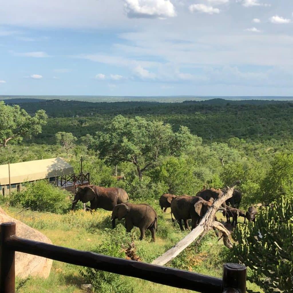 Mopaya Safari Lodge - Afrique du Sud - golf - safari