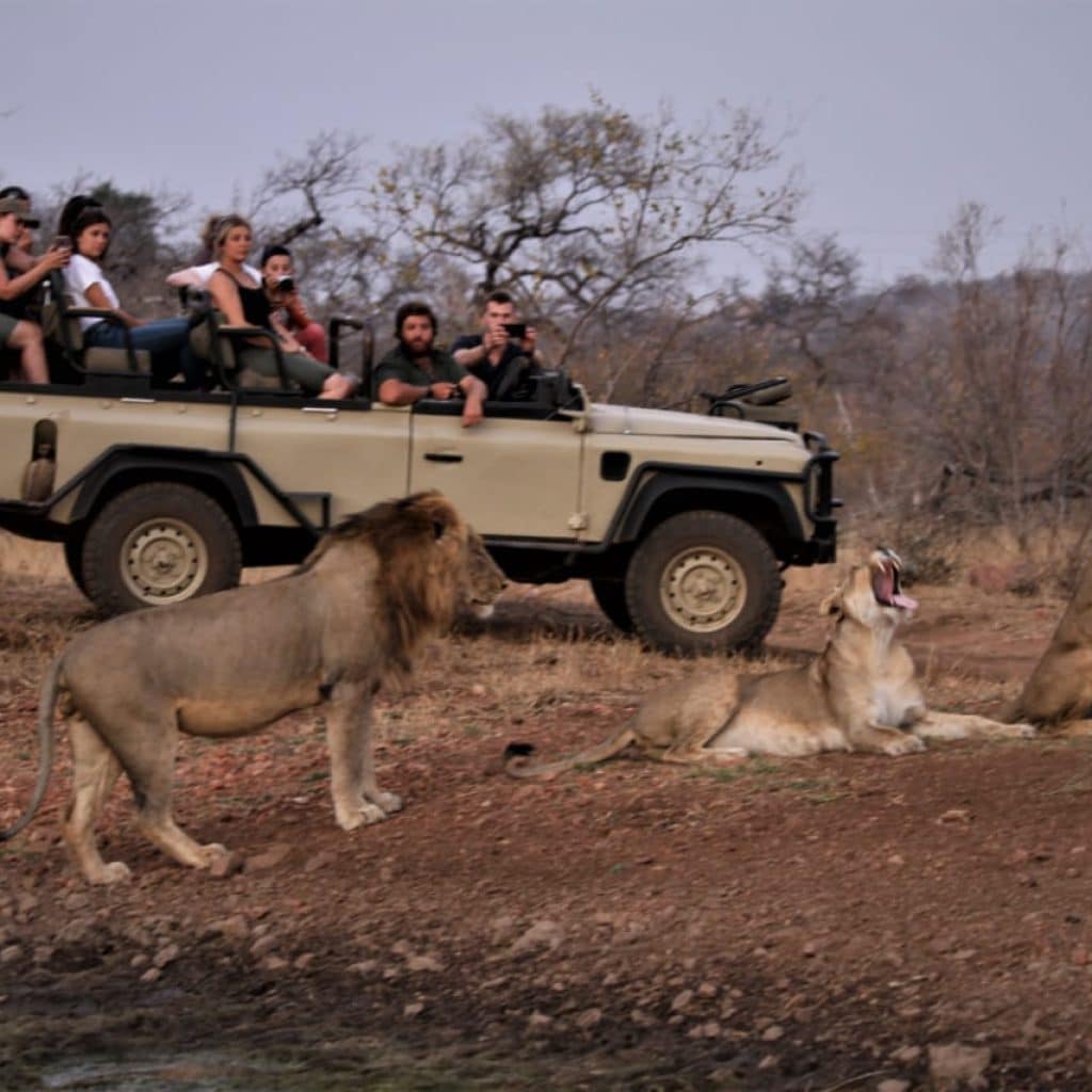 Mopaya Safari Lodge - Afrique du Sud - golf - safari