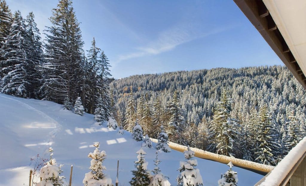 Appartement HELLEBORE 223 - Courchevel Moriond - Location Premium - Conciergerie - White Management