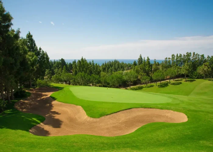 el chaparral golf course