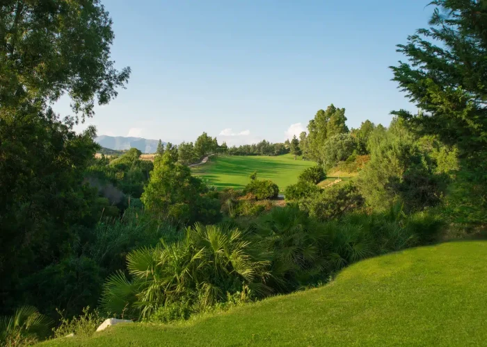 el chaparral golf course