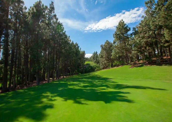 el chaparral golf course