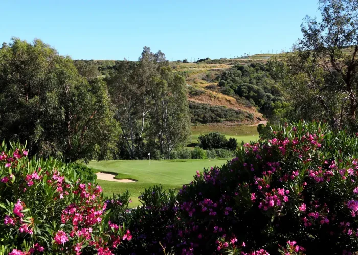 Valle Romano Golf
