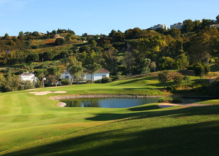 CAMPO ASIA
