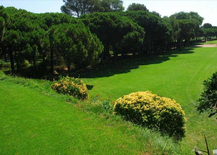GOLF LA COSTA 6
