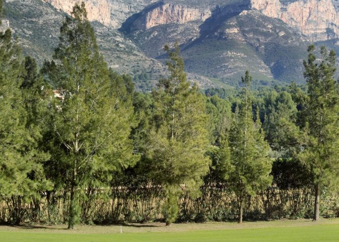 voyage-golf-espagne