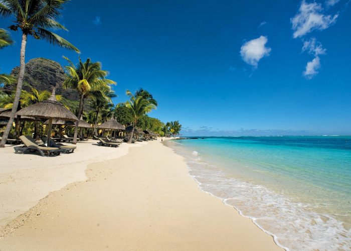 beach-beachcomber