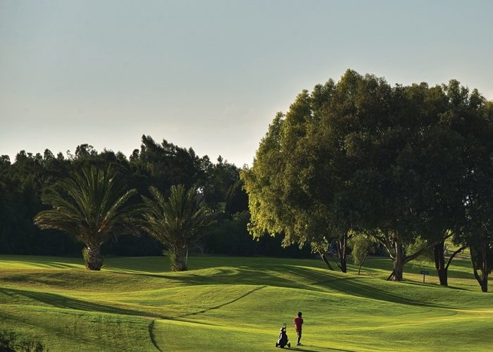 Golf citrus La Foret Tunisie
