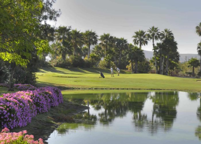 golf las americas - tenerife - canaries