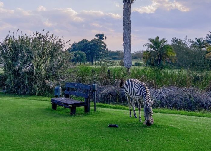 Great Rift Valley Lodge golf