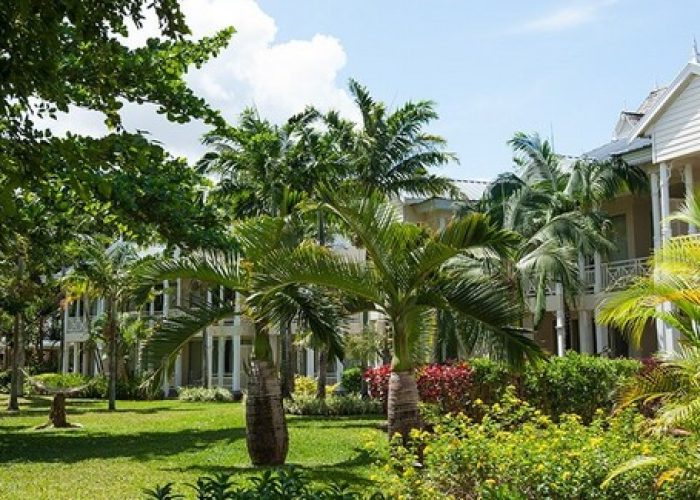 jardin-telfair