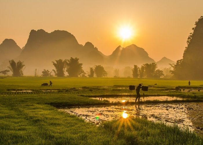 VIETNAM