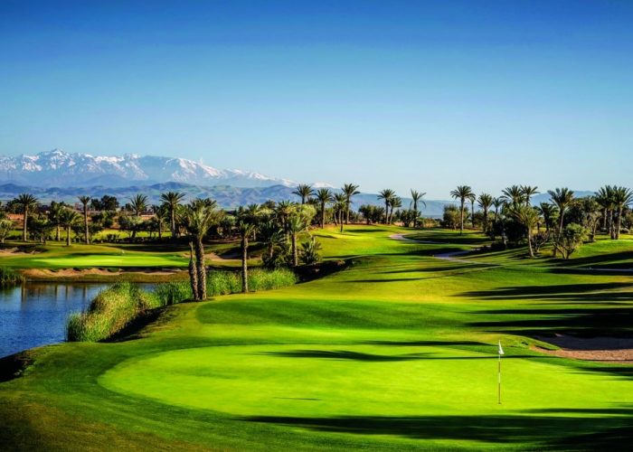 royal-palm-golf