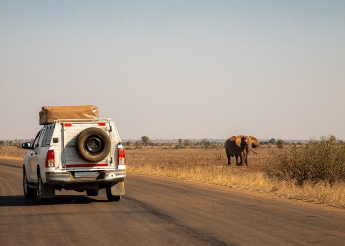 Séjours Découvertes - Afrique du Sud