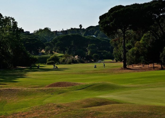 terrain